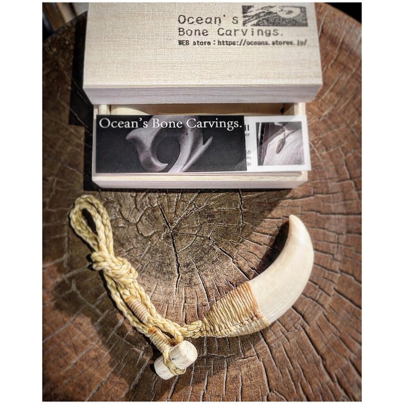 ボーンカービング鯨歯ネックレス WL-221 | Ocean's Bone Carvings