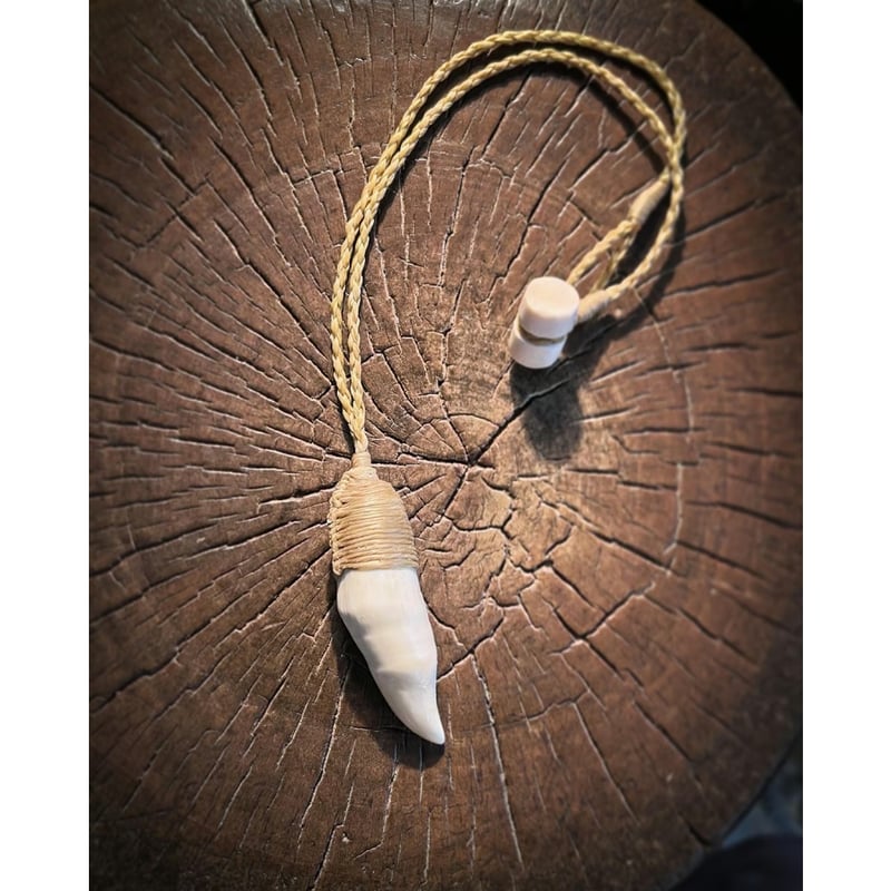 ボーンカービング 鯱歯ネックレス OR-269 | Ocean's Bone Carvings ボーンカービング 鯱歯ネックレス OR-269 | Ocean's Bone Carvings