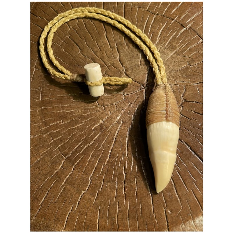 ボーンカービング 鯱歯ネックレス OR-281 | Ocean's Bone Carvings
