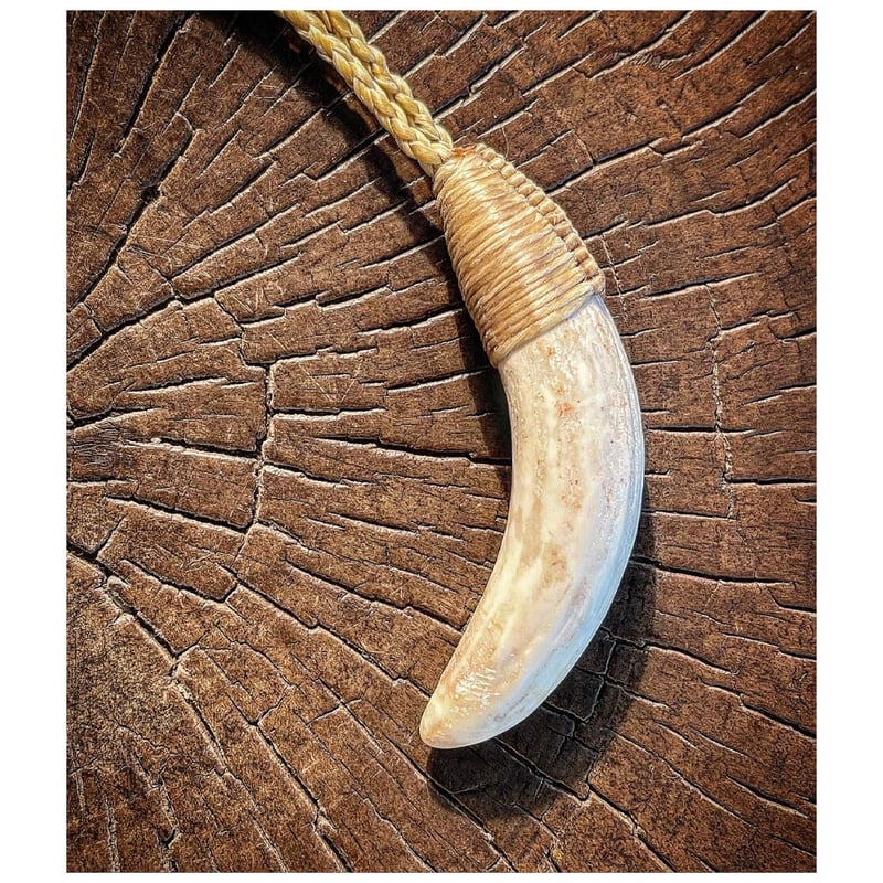 ボーンカービング鯨歯ネックレス WL-232 | Ocean's Bone Carvings ボーンカービング鯨歯ネックレス WL-232 | Ocean's Bone Carvings