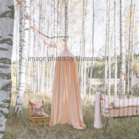 Numero 74 キャノピー 《Pale Peach》