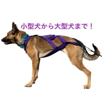 オーダーメイドハーネス（立体縫製）