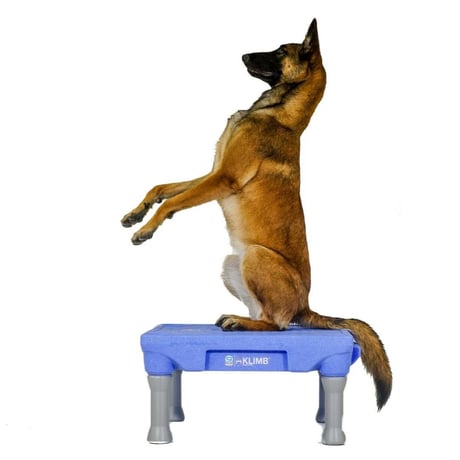 doggy専用 CATEGORY ドッグスポーツ | ドグタウン工房 ドッグスポーツプロショップ