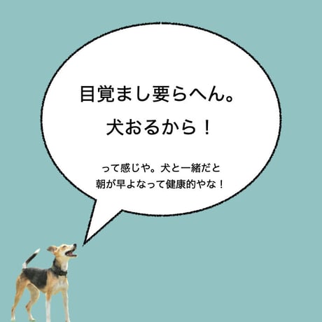 カーマグネット ”Alarm Clock”【送料無料】