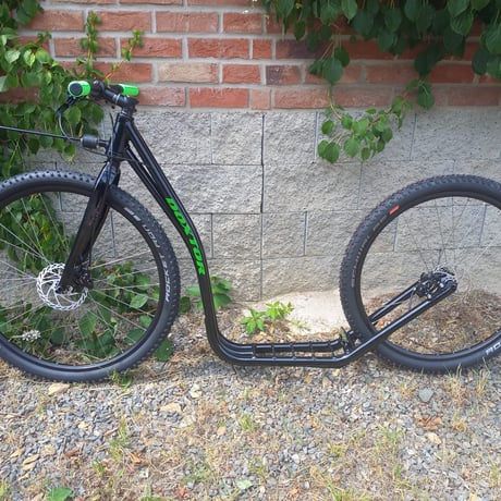 CATEGORY ドッグスポーツ | ドグタウン工房 ドッグスポーツプロショップ