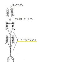 チームドッグセクション