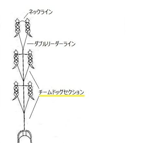 チームドッグセクション