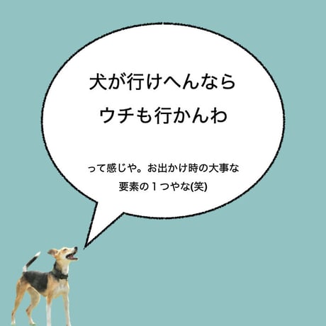 カーマグネット ”If my dog can't go, I'm not going.”【送料無料】