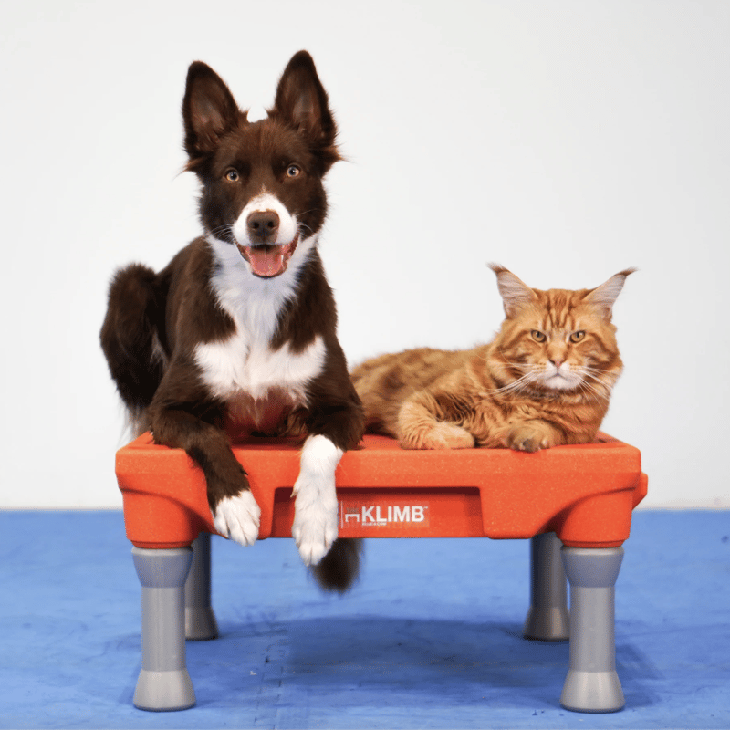 ドッグフード Karimero ryohinrenka_2842-000635