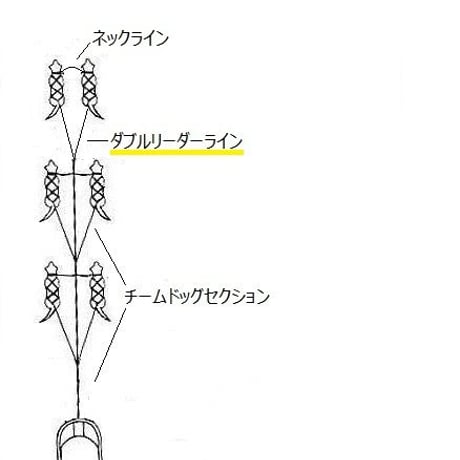 ダブルリーダーライン〔ネックライン付〕