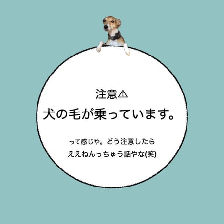 カーマグネット ”Dog Hair on Board”【送料無料】