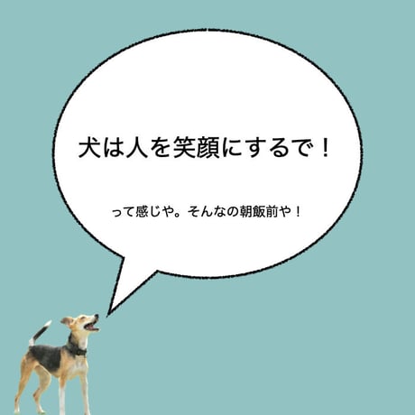 カーマグネット ”Dogs make me smile”【送料無料】