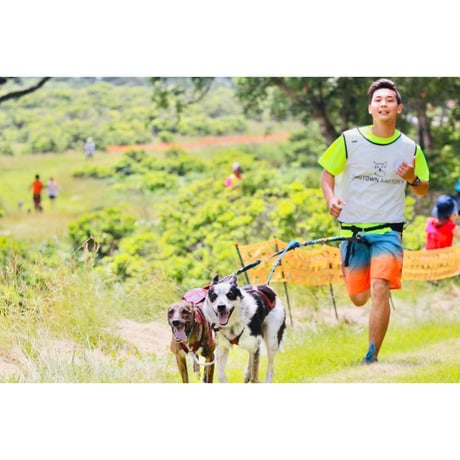 パルスート【3.5kg 】  ”運動を行う犬のためのフード”  - Dr.Tim's -