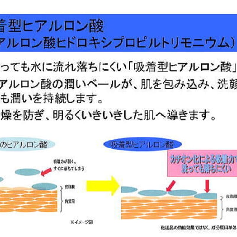 クリアーナソープ300mL＋1000mL　洗顔料　弱酸性　ヒアルロン酸　ヒルコス ヒルコス クリアーナソープ 300mL | ハリーボーン