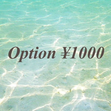 option ¥1000