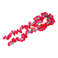 Cyclamen stole  < Red ruffle >
