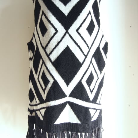 Geometric fringe dress < Black / White >