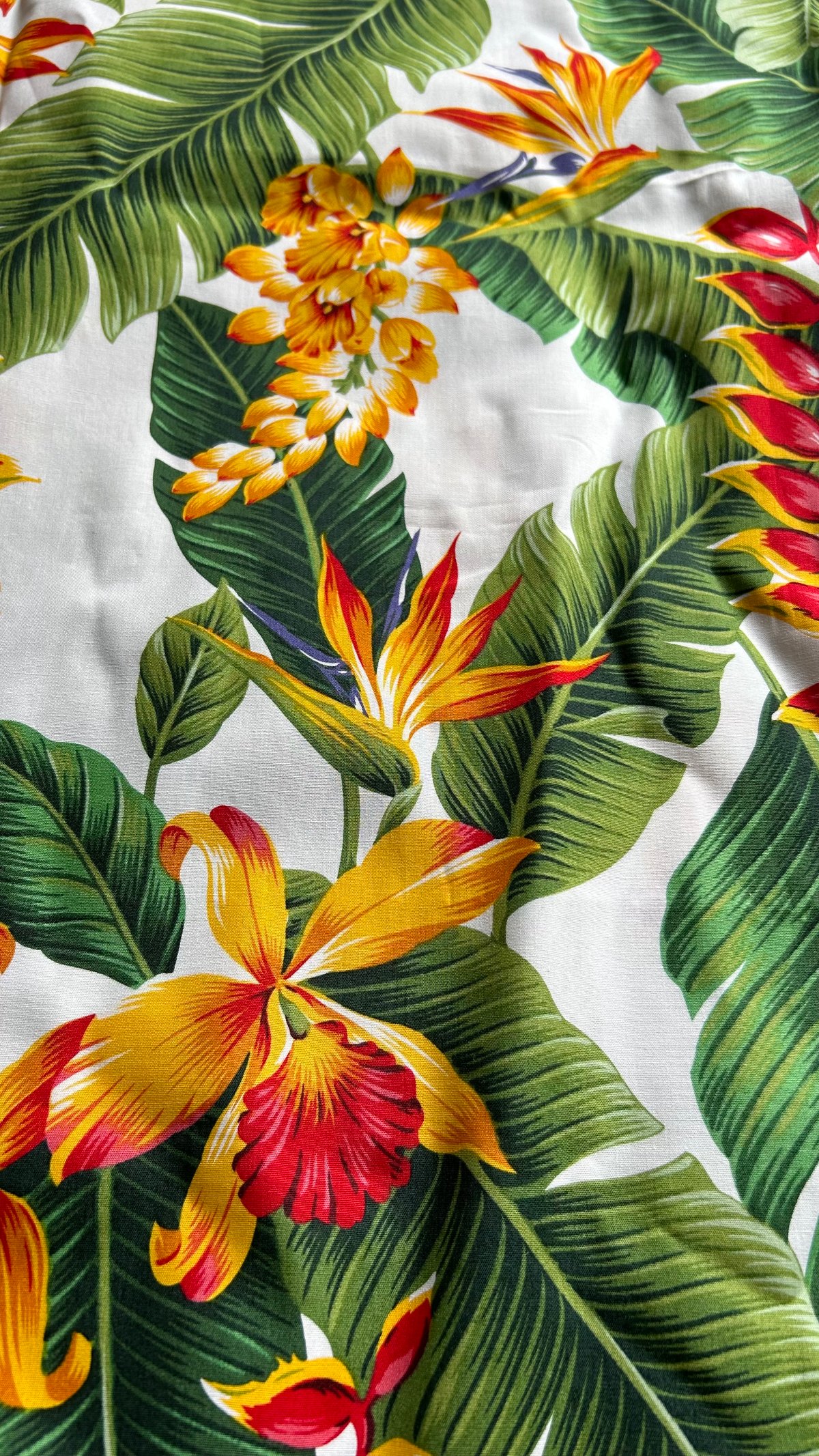 ハワイアンのボンゾ 24cm メリーソート社 コレクター向き 楽天市場】10002527 サーフボード ワーゲン S ハワイアン雑貨