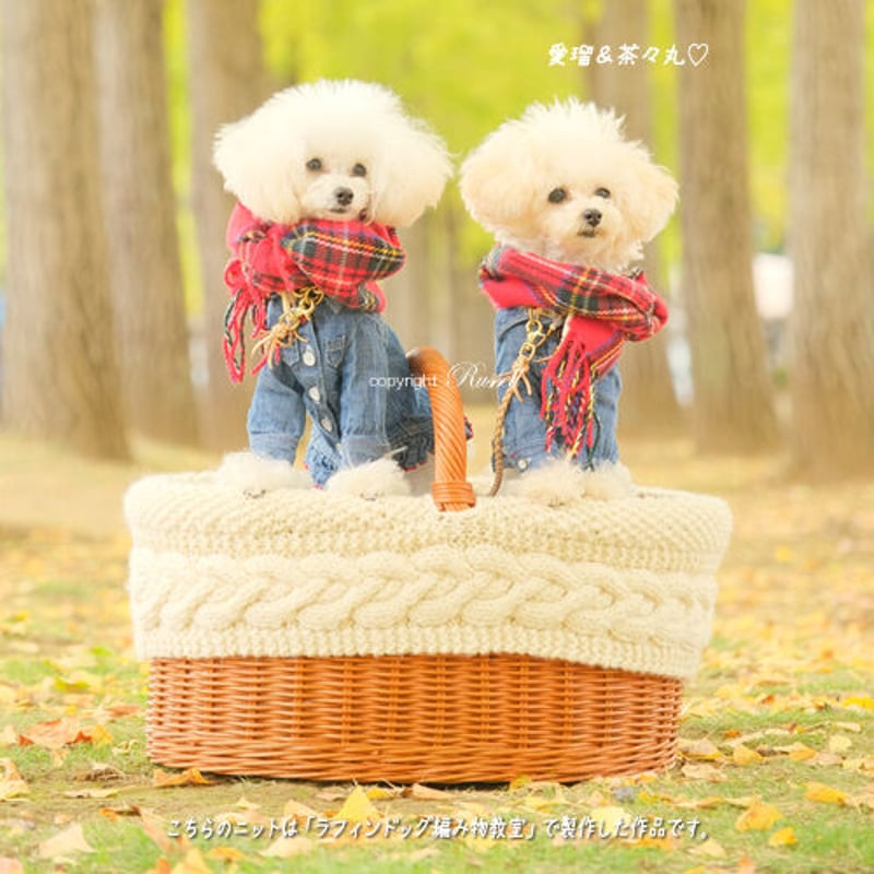 品番027 籐かごバスケット ピクニックバスケット【かごのお店ラッセル