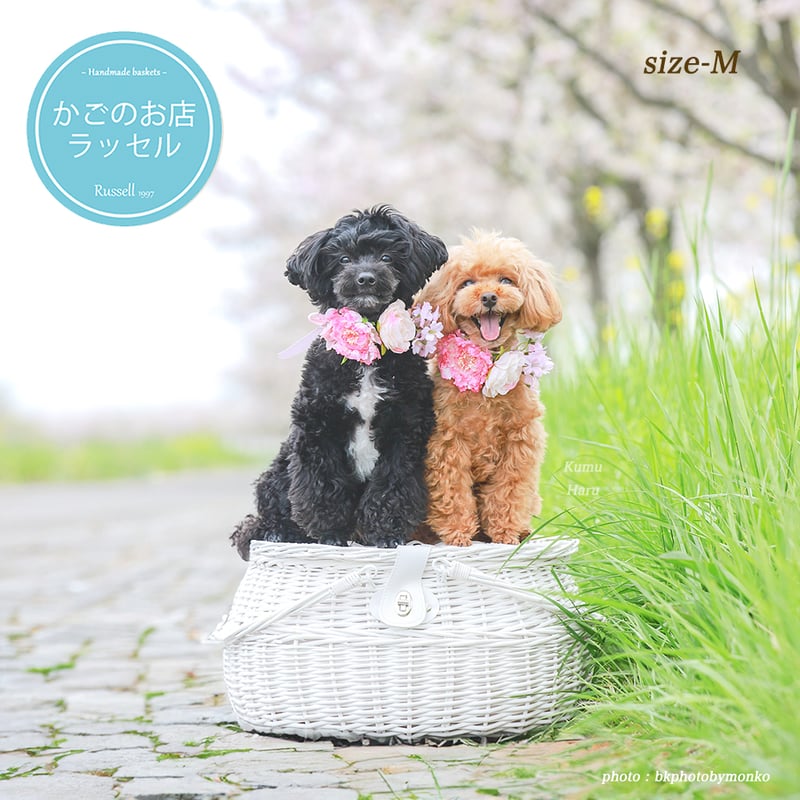 品番800-M-WH ホワイトバスケット 内布付き ハンドル付き かご