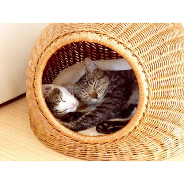 【予約販売】型番 1002 籐(ラタン)猫ちぐら・猫つぐら・猫ハウス ... バスケット カゴ 天然 ガーナ キッチンバスケット 猫ちぐら