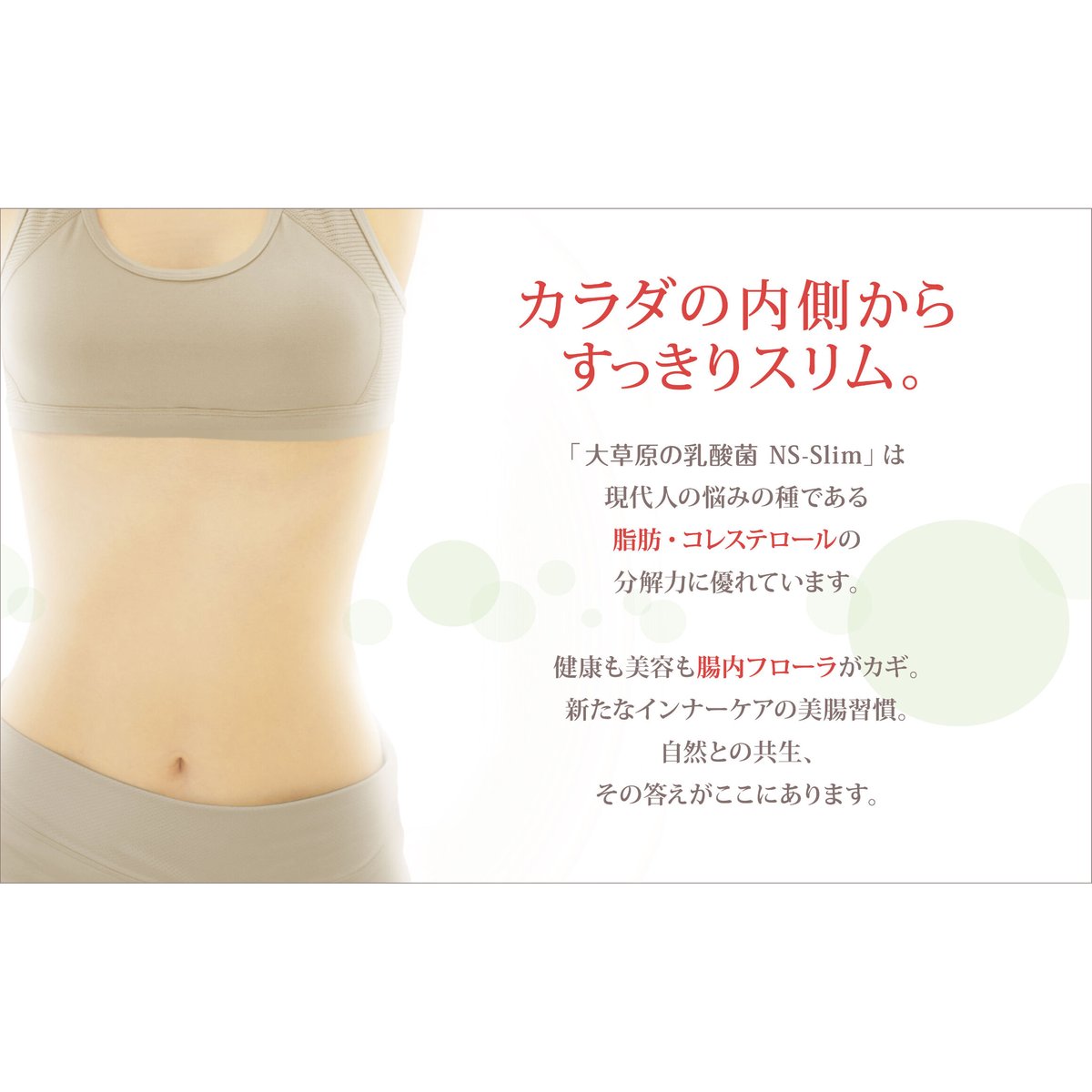 大草原の乳酸菌 NS-Slim 36カプセル　2袋 大草原の乳酸菌 NS-Slim（36カプセル・ラミジップ入り