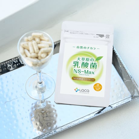 大草原の乳酸菌NS-Max（36粒）