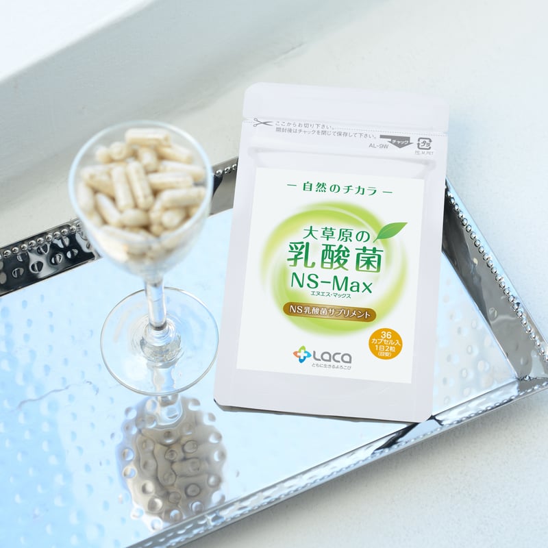 NS乳酸菌 NS乳酸菌 禪淨（5g×30包） - NSバイオジャパン オンラインショップ