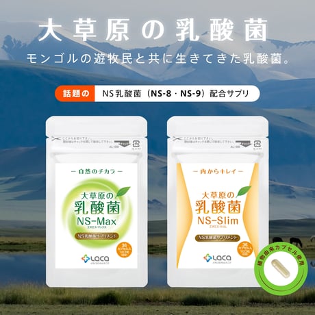 大草原の乳酸菌NS-Max（36粒）+NS-Slim（36粒）【2袋セット】※割引価格