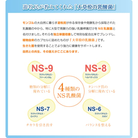 大草原の乳酸菌NS-Max（36粒）