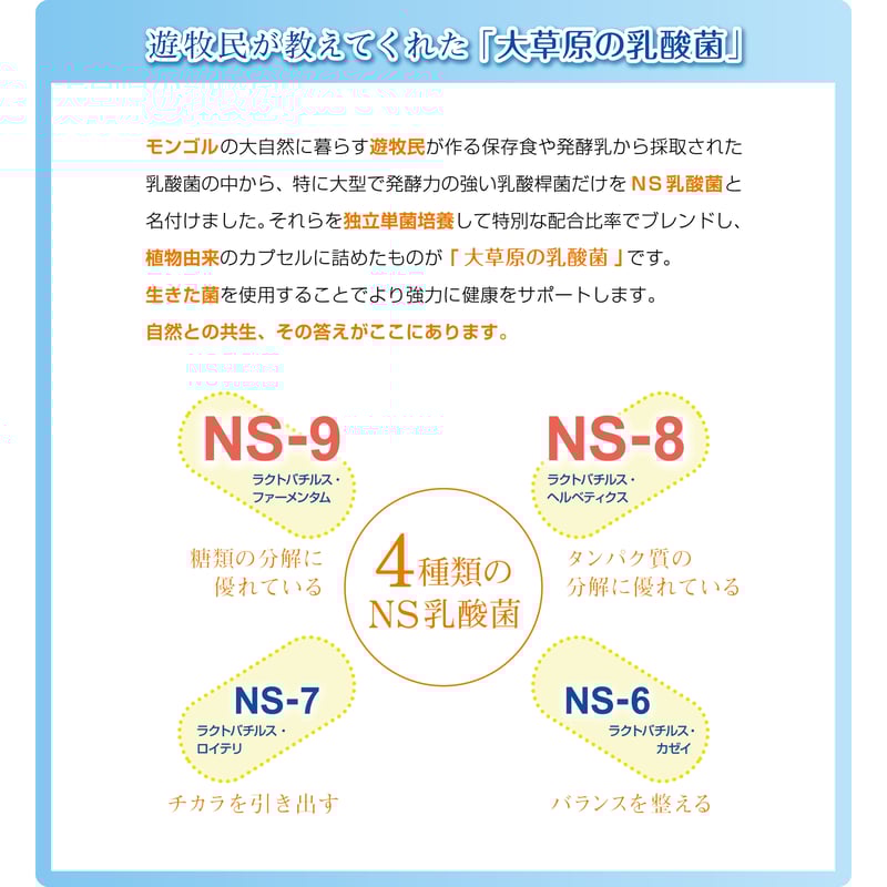 大草原の乳酸菌NS-Max（36粒） | ラクア公式SHOP