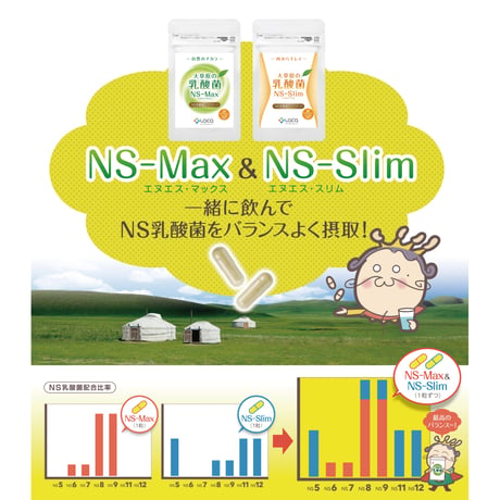 大草原の乳酸菌NS-Max（36粒）+NS-Slim（36粒）【2袋セット】※割引価格