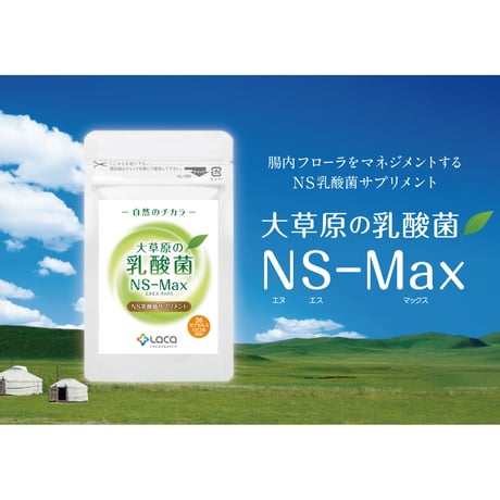 大草原の乳酸菌NS-Max（36粒）