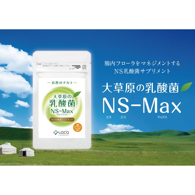 NS乳酸菌 楽天市場】大草原の乳酸菌 NS-Max 36粒◇6袋セット ＋[32粒 増量