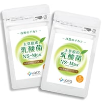 大草原の乳酸菌NS-Max（36粒）【2袋セット】※割引価格