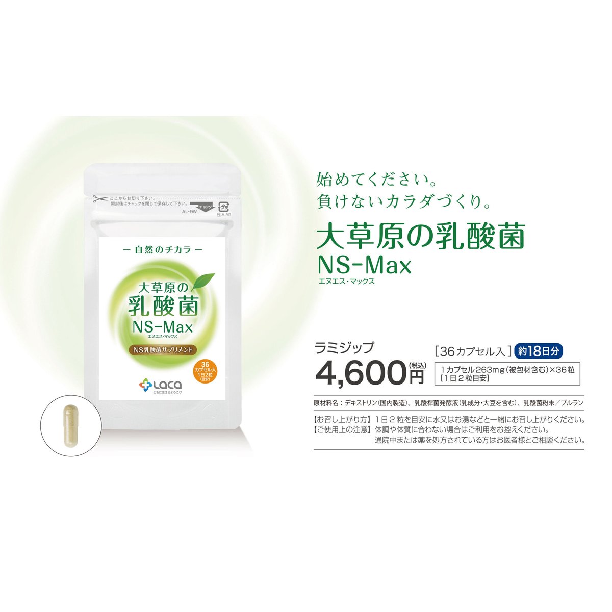 大草原の乳酸菌NS-Max（36粒） | ラクア公式SHOP