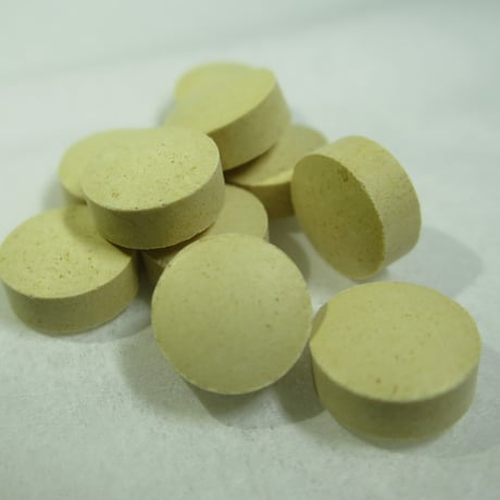 犬猫のための乳酸菌 NS-Pet（約180粒）