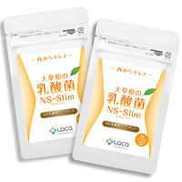 大草原の乳酸菌NS-Slim（36粒）【2袋セット】※割引価格