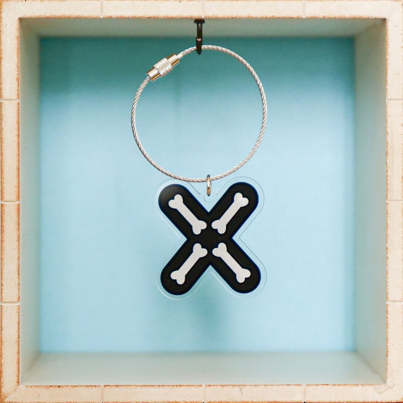 asukaさま専用　ラブブ　イニシャル　アルファベット　XA&　キーリング　X PIN FOR LOVE ラブブ イニシャル ぬいぐるみキーホルダー X Q 2