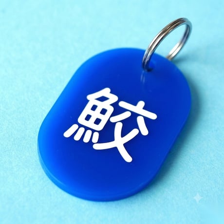 鮫🔵