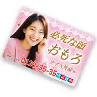 清楚罵倒マグネット（おもろ）