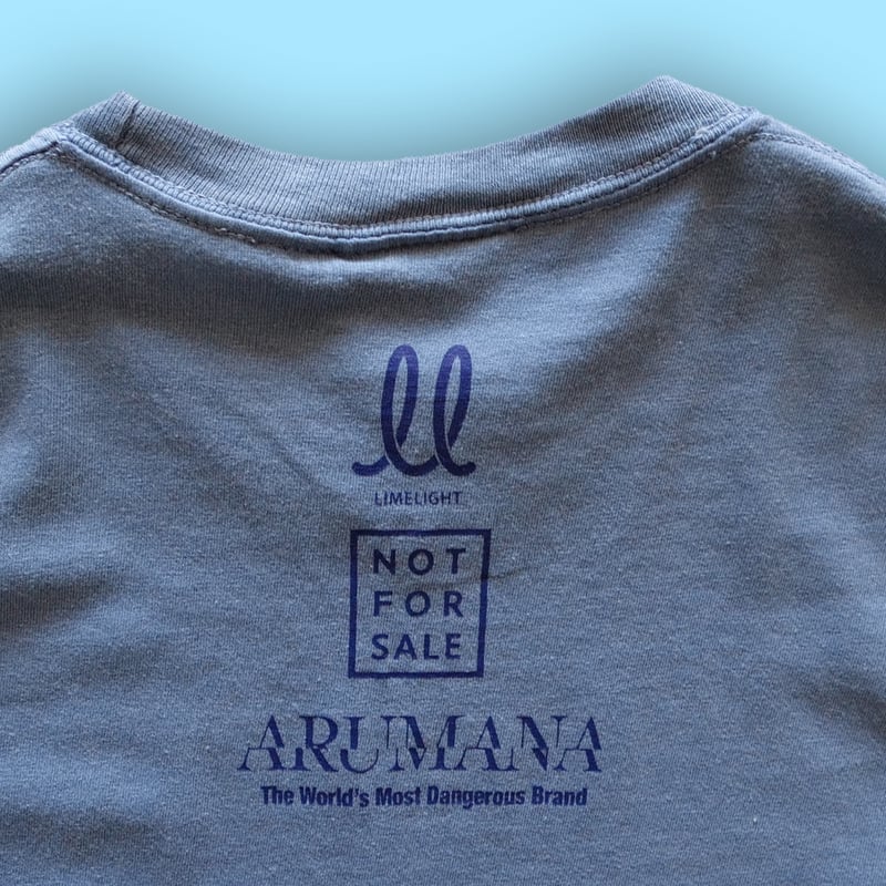 /*.様 THE MOUNTAIN 月夜のアザラシ グラフィックTシャツ　アニマ マナティ】ザマウンテン Tシャツ アニマルプリント トド