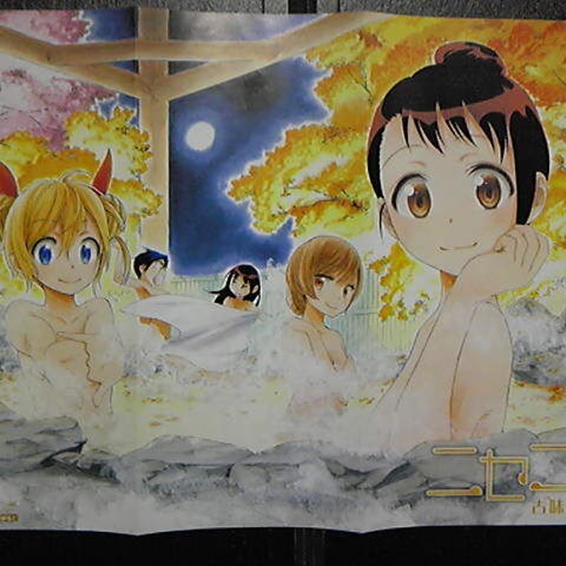 ▽00 ポスター 両面 ニセコイ ハンターハンター | ウリホー大＼(^o