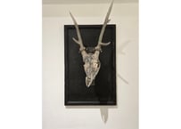 米津真理奈 Marina Yonetsu/Glasswork　“Contact-032”