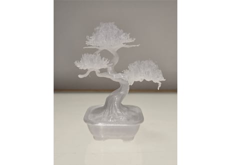 青沼優介 粋は生成できるか？ 盆栽 #9 | Yusuke Aonuma Can "iki" Be Generated? Bonsai #9