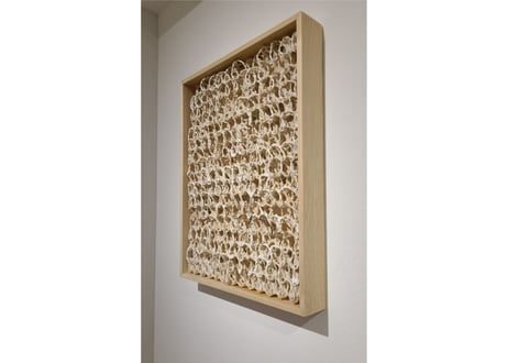半澤友美/Tomomi Hanzawa  Untitled