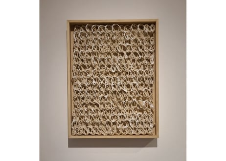 半澤友美/Tomomi Hanzawa  Untitled
