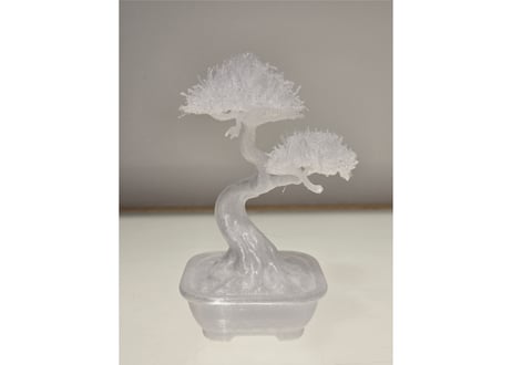 青沼優介 粋は生成できるか？ 盆栽 #9 | Yusuke Aonuma Can "iki" Be Generated? Bonsai #9