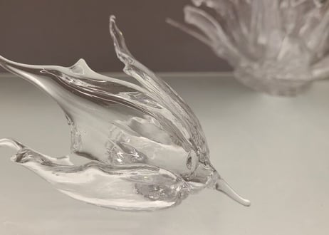 吉田謙也 Kenya Yoshida / 光の花Ⅵ