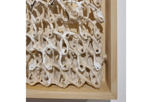 半澤友美/Tomomi Hanzawa  Untitled
